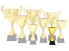 1023 H - Premium Cup